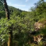 De Pleine Nature En Dordogne Dom wakacyjny Saint-Mesmin (Dordogne)