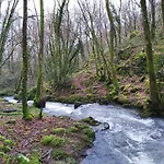 Dom wakacyjny De Pleine Nature En Dordogne *