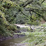 De Pleine Nature En Dordogne * Saint-Mesmin (Dordogne)