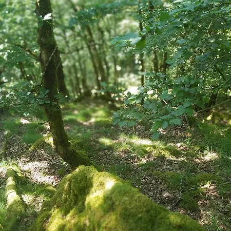 De Pleine Nature En Dordogne *