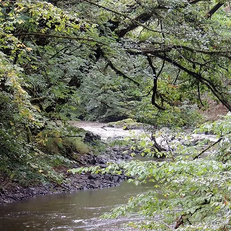De Pleine Nature En Dordogne * Saint-Mesmin (Dordogne)